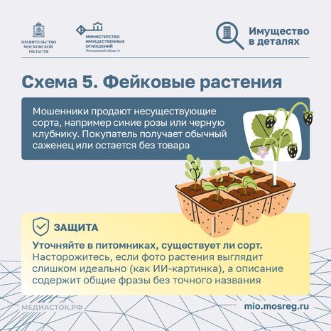 6 схем обмана дачников квадрат 06