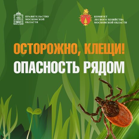 комлесхоз_клещи_кв_1