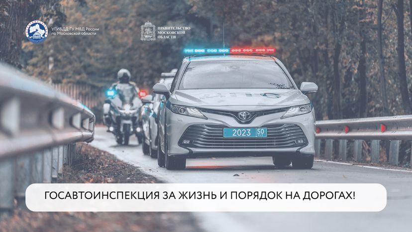 Горизонтали По дороге истории-13.jpg