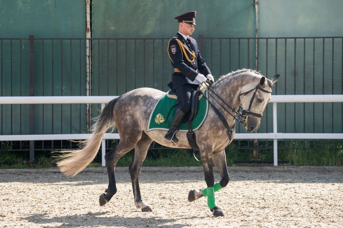 IV Чемпионат русских троек «Крылатое сердце России» в Одинцовском округе
