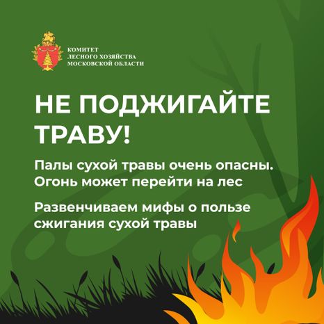 комлесхоз_пал_кв_1.jpg