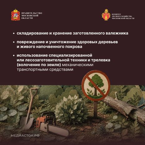 Валежник для собственных нужд квадрат 08