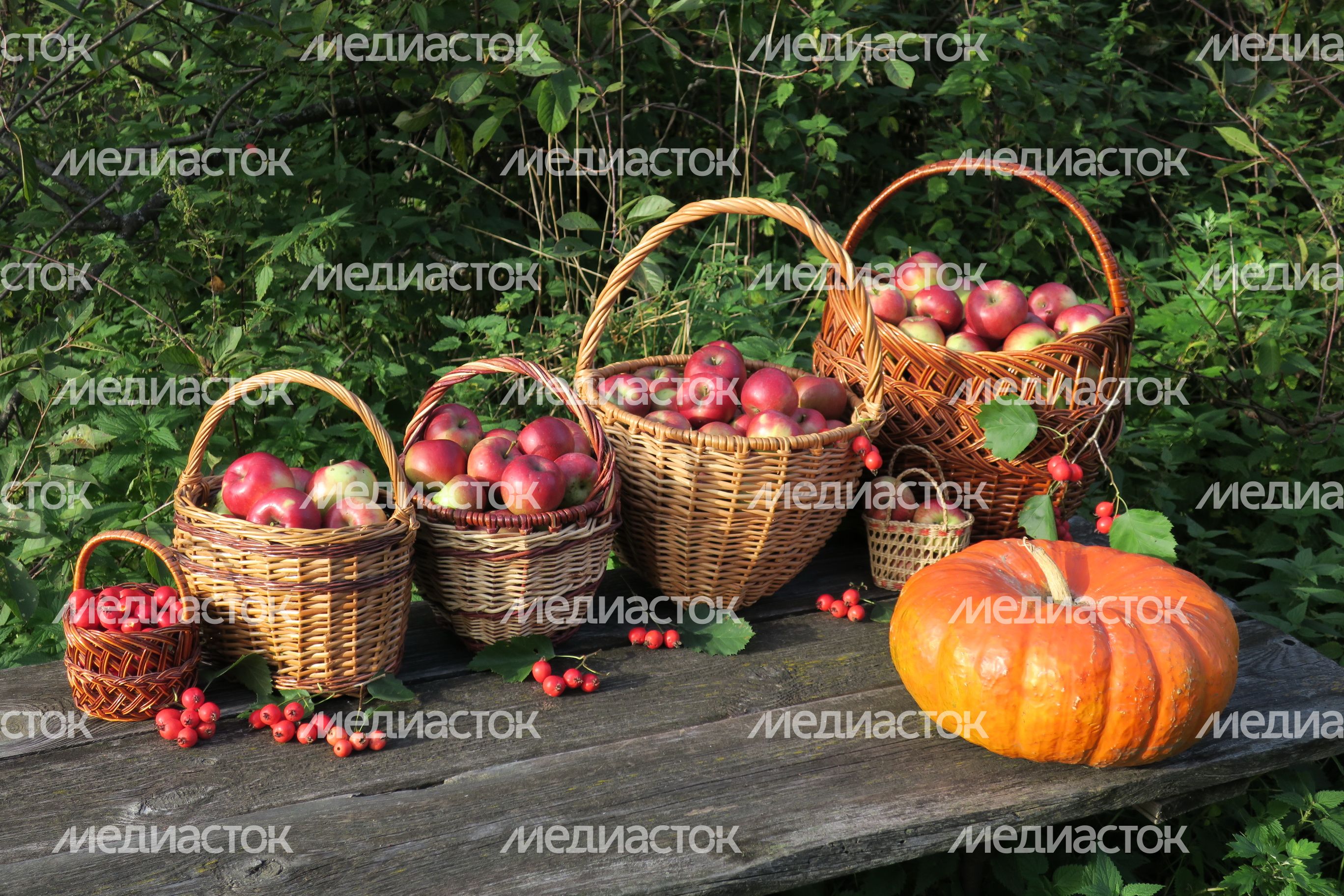 Осень в Подмосковье