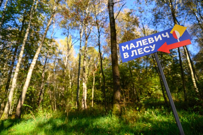Арт-объекты в парке Малевича Одинцовского округа осенью