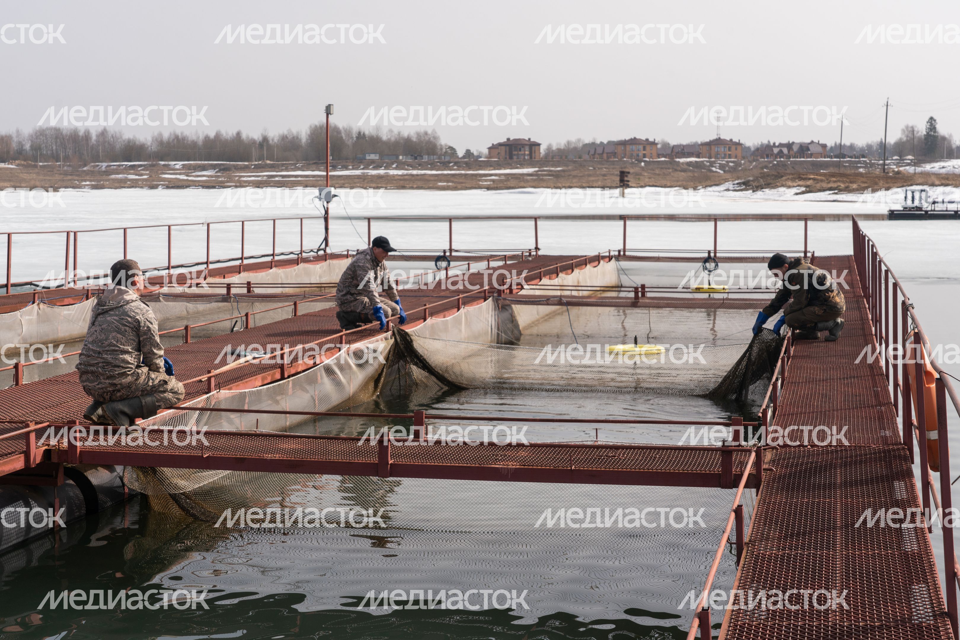 Мансуровское рыбоводное хозяйство под Истрой Мансуровское рыбоводное хозяйство под Истрой