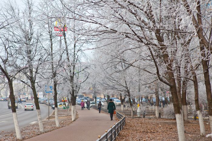 Морозная погода в Раменском