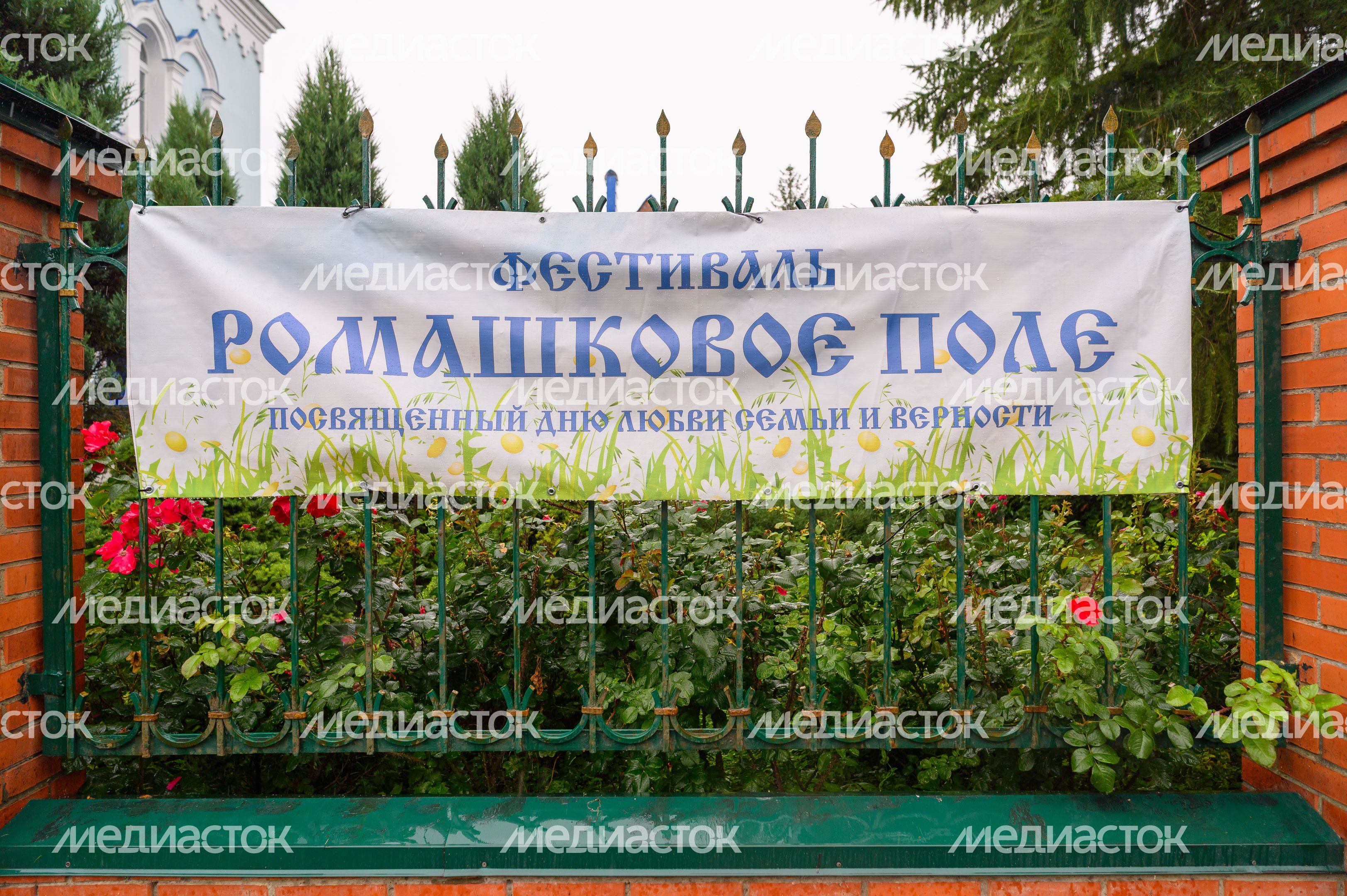 IX Православный семейный фестиваль «Ромашковое поле» в селе Карпово Раменского округа