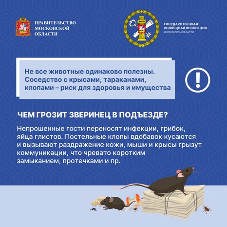 Ах ты паразит