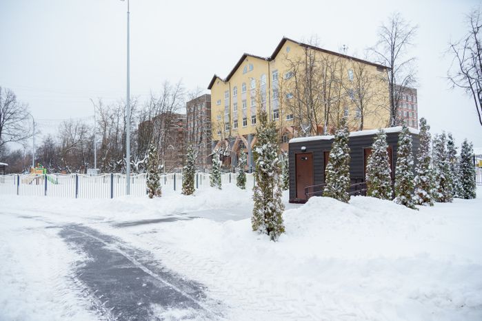 Богородский. Ногинск. Глуховский парк. Зима