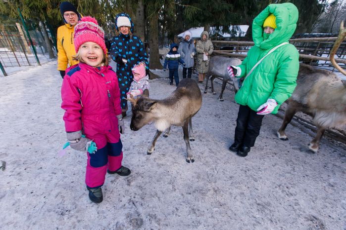 Оленья ферма ZooОleni в Рузском округе
