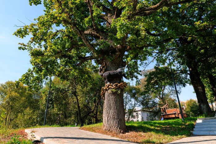Кот ученый на дубе в сказочном парке «Лукоморье» в Рузе летом