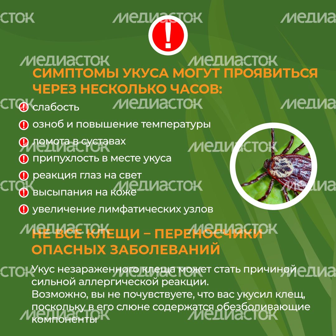 комлесхоз_клещи_кв_6