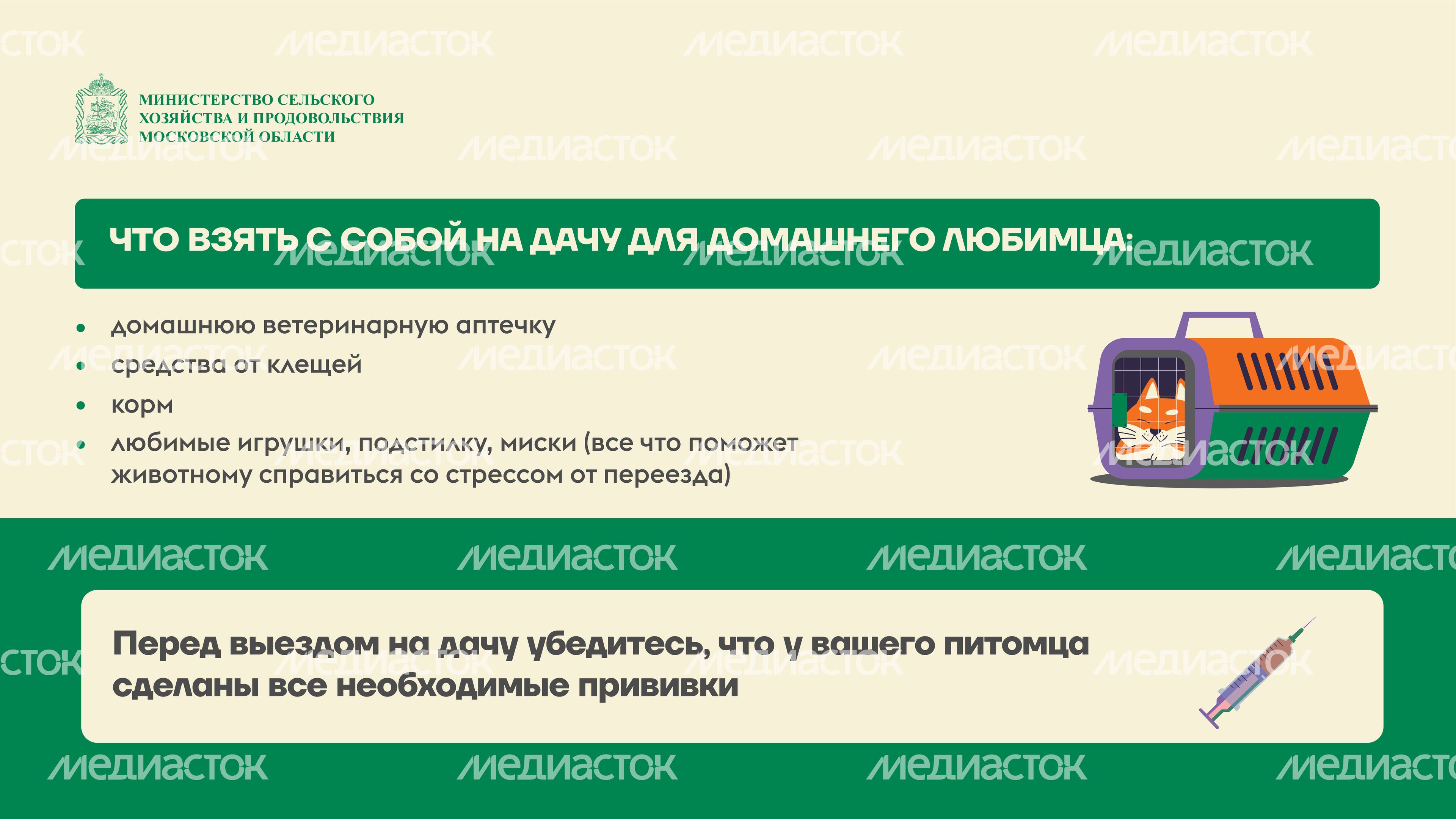 животные на даче горизонталь (5)