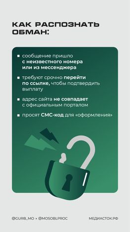 Фейковые семейные выплаты вертикаль 04