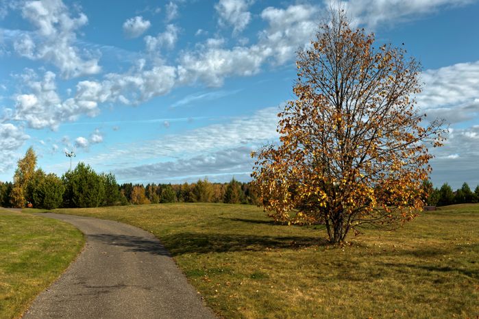 Территория гольф-клуба Dmitrov Golf Resort  в Дмитровском округе