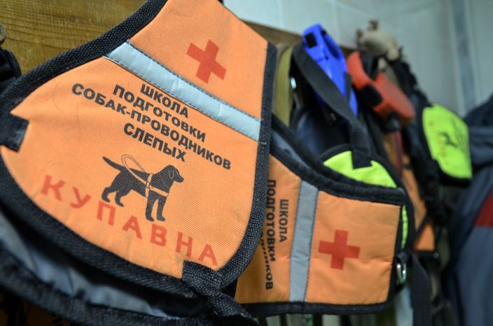 Школа подготовки собак-проводников для слепых