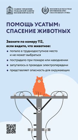 помощь усатым - вертикаль - 01
