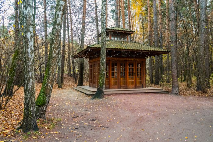 Осенний Мещерский парк в Одинцовском округе