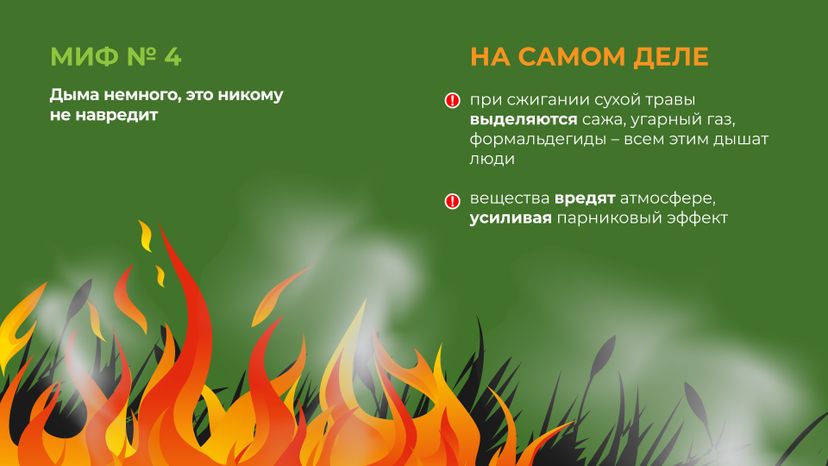 пал_гор_5.jpg