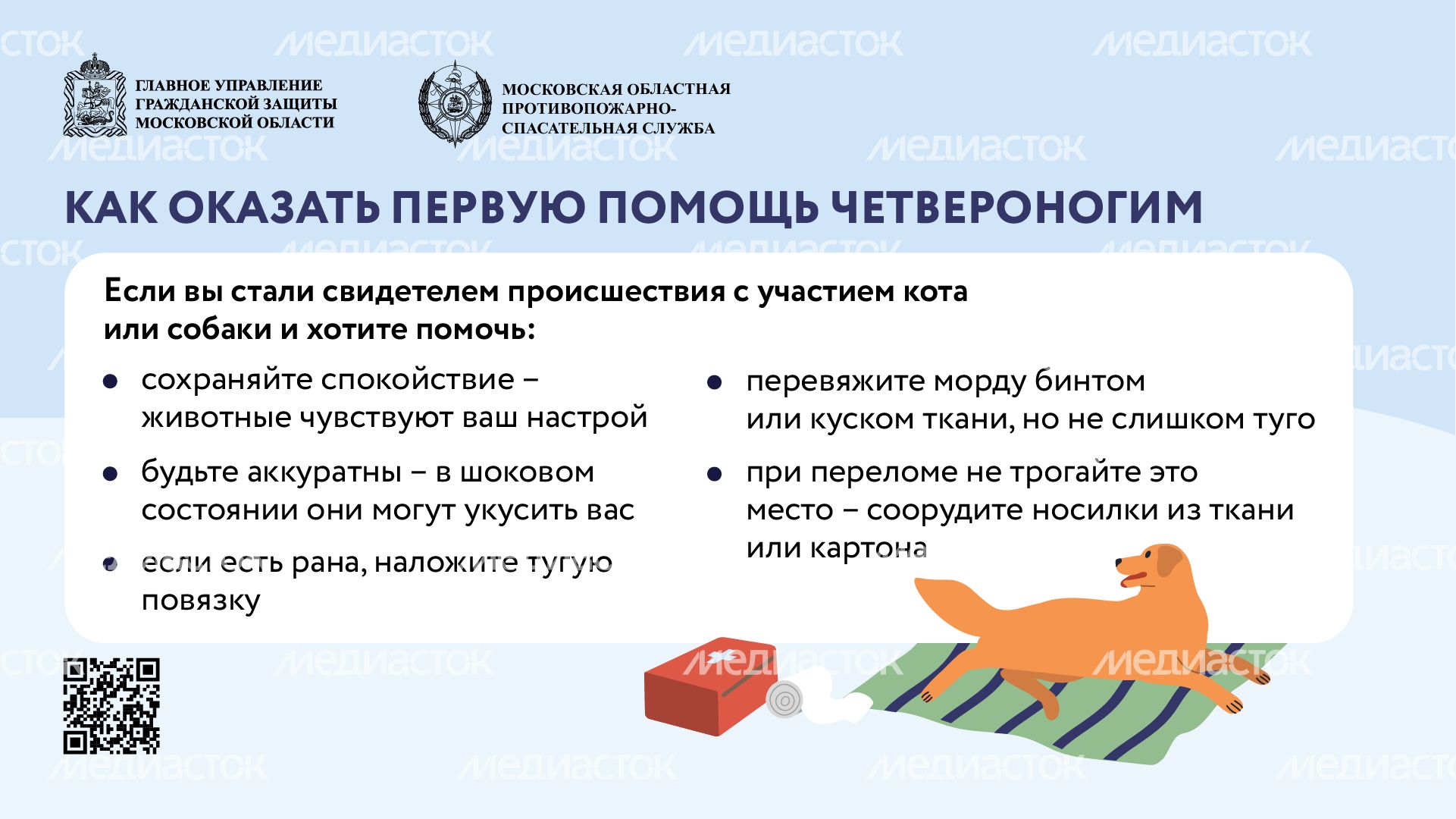 помощь усатым - горизонталь - 07