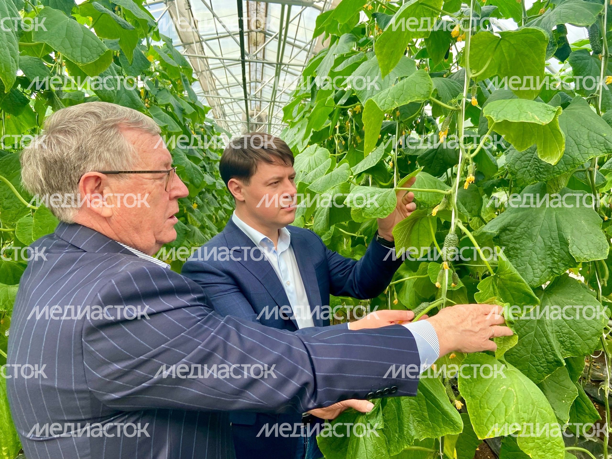 Агрофирма "Поиск"