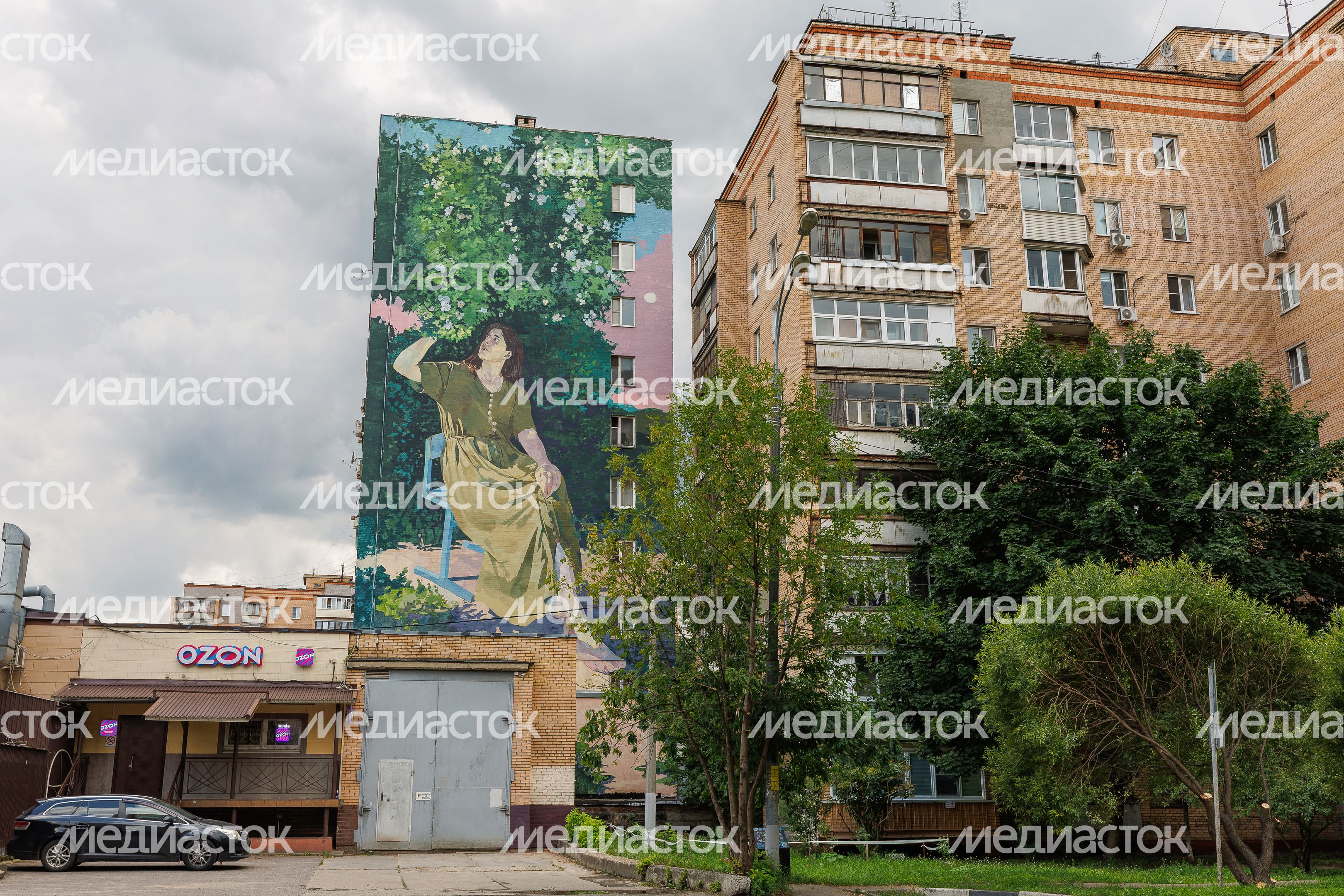 Муралы в Железнодорожном, Балашиха