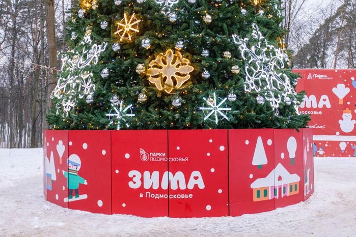 Красногорский городской парк зимой