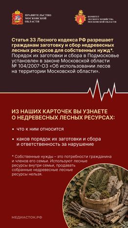 Недревесные ресурсы для собственных нужд Вертикаль 02