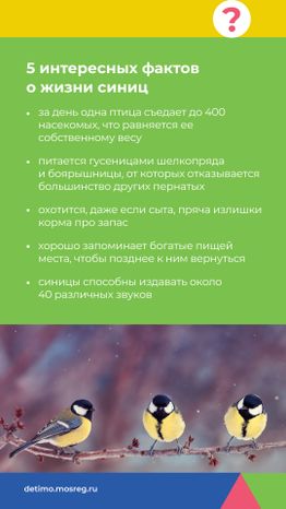 Синичкин_день_вертикаль_10.jpg
