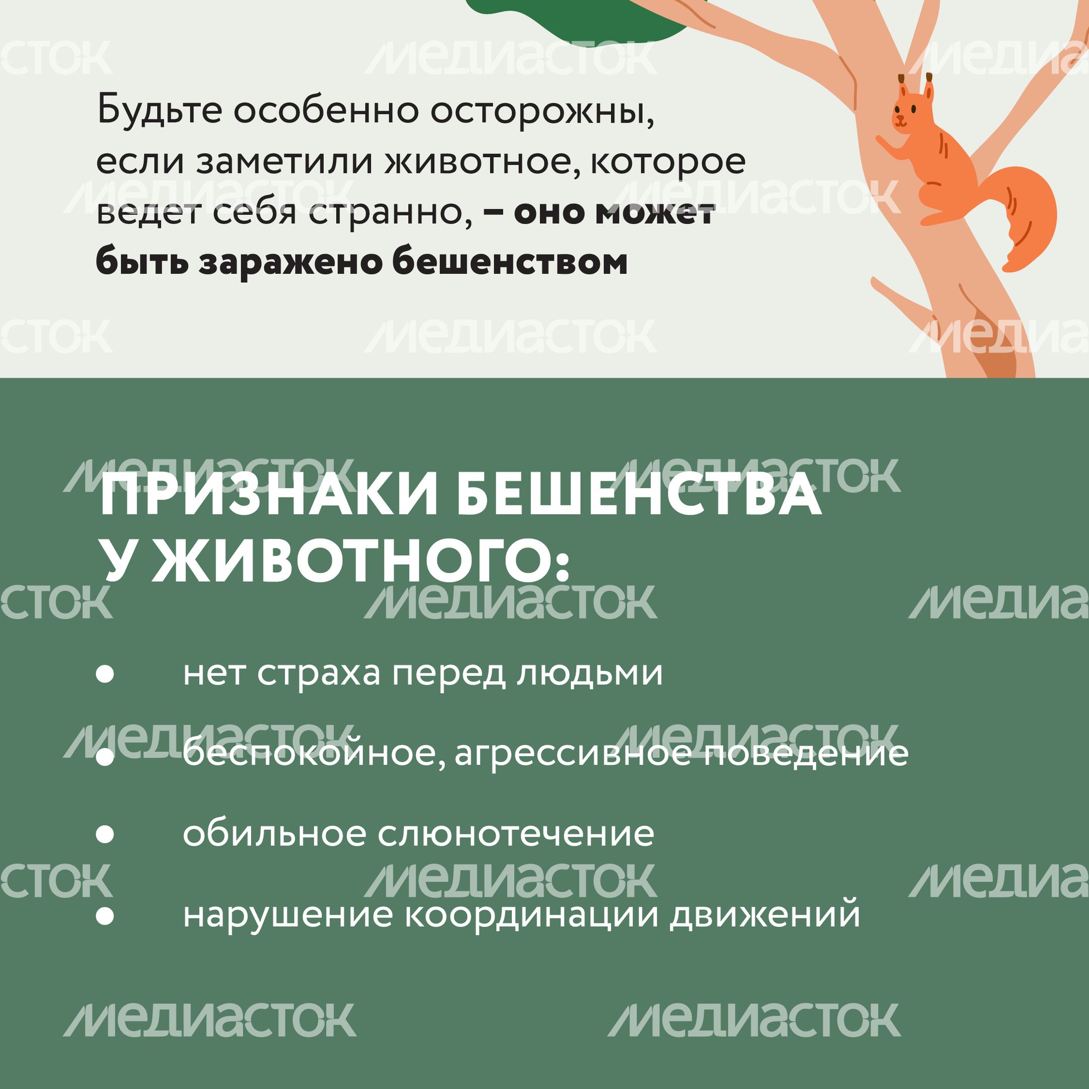 Квадрат Безопасность в лесу 06.jpg