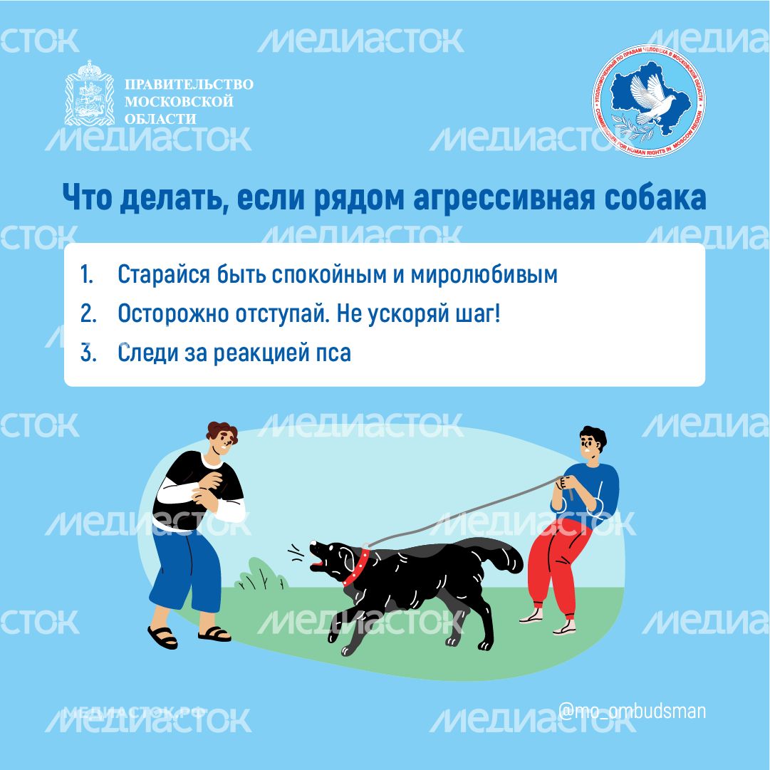 Осторожно злая собака квадрат 03 Осторожно злая собака квадрат 03