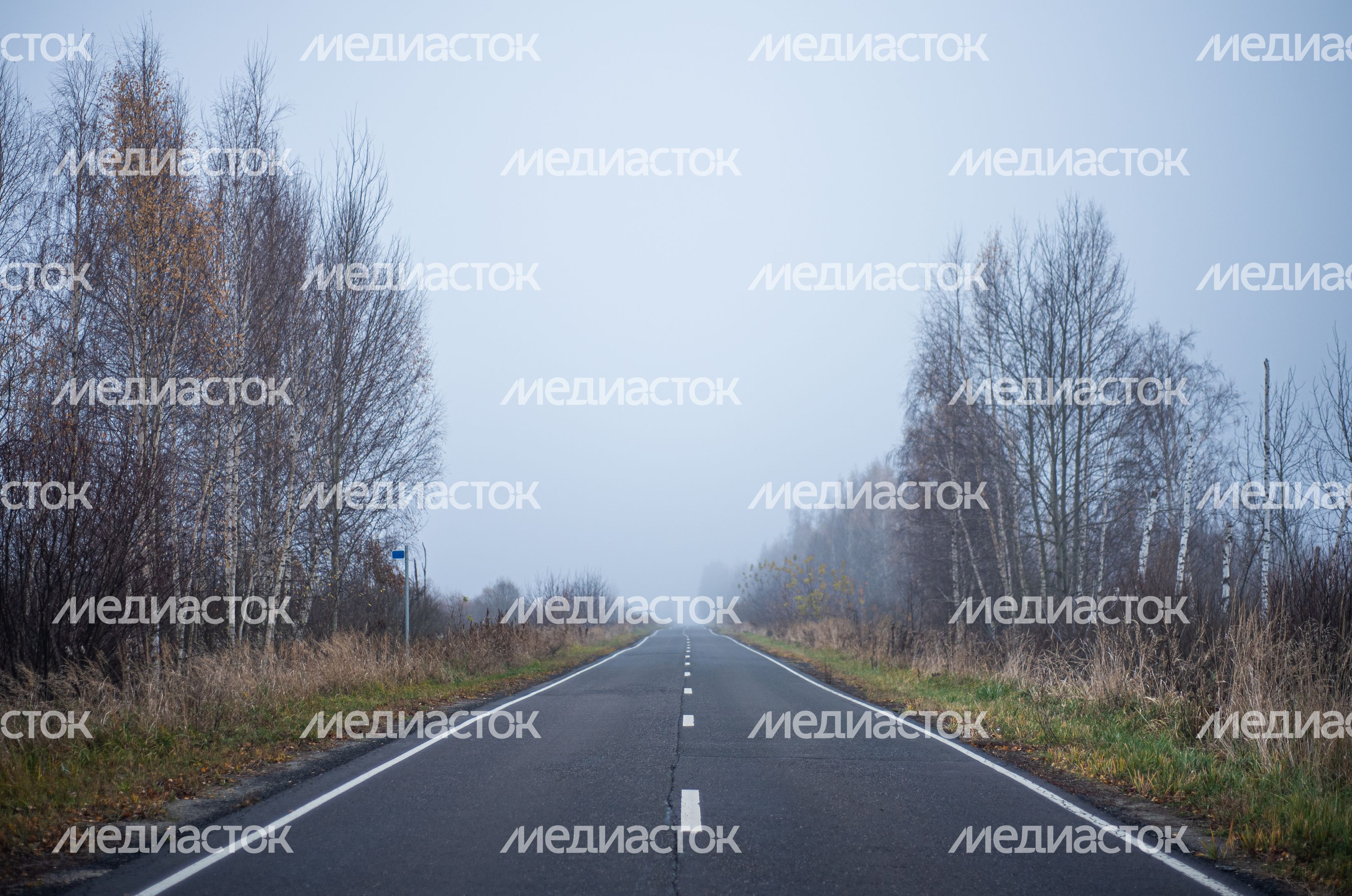 Шатурские болота