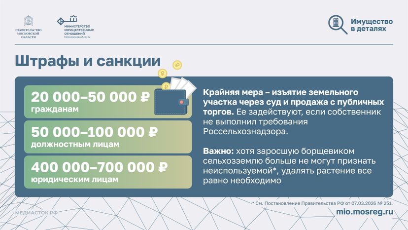 Борьба с борщевиком горизонталь 03