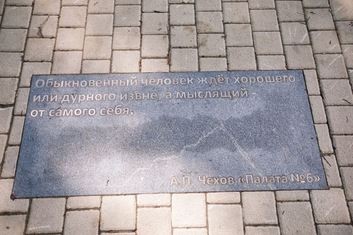 Звенигород. Липа Чехова