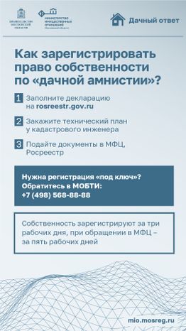 Вертикаль_Вериткаль_Дачная амнистия_04-100.jpg