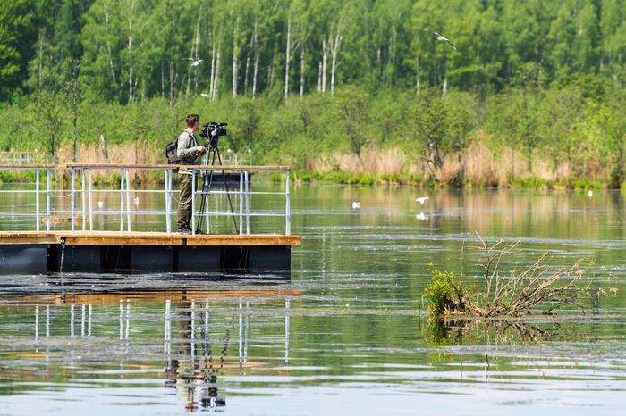 Орнитологическая тропа появилась в нацпарке «Лосиный остров»
