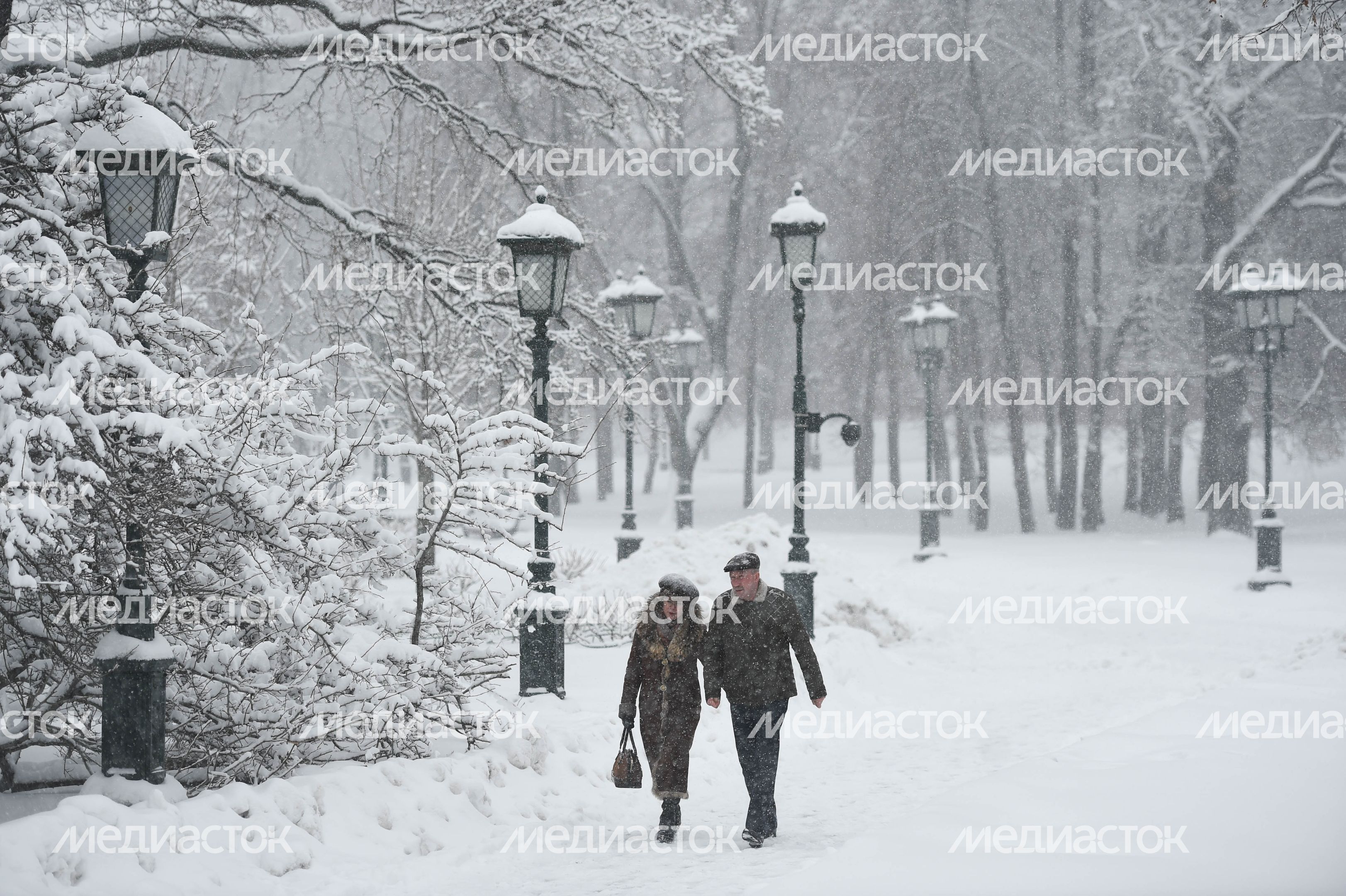 Рекордный снегопад в Москве и Подмосковье