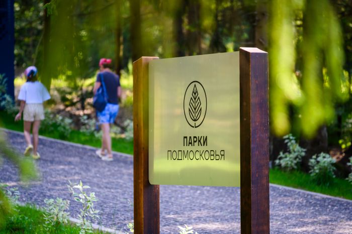 Дорожка в лесопарке «Загорское море» летом в Сергиевом Посаде