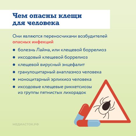 Как защититься от клещей квадрат 03
