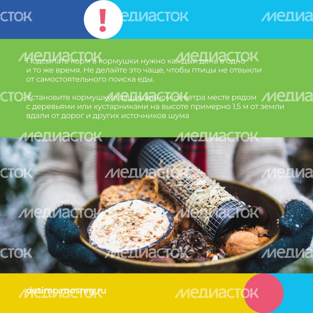 синичкин_день_квадрат_08.jpg
