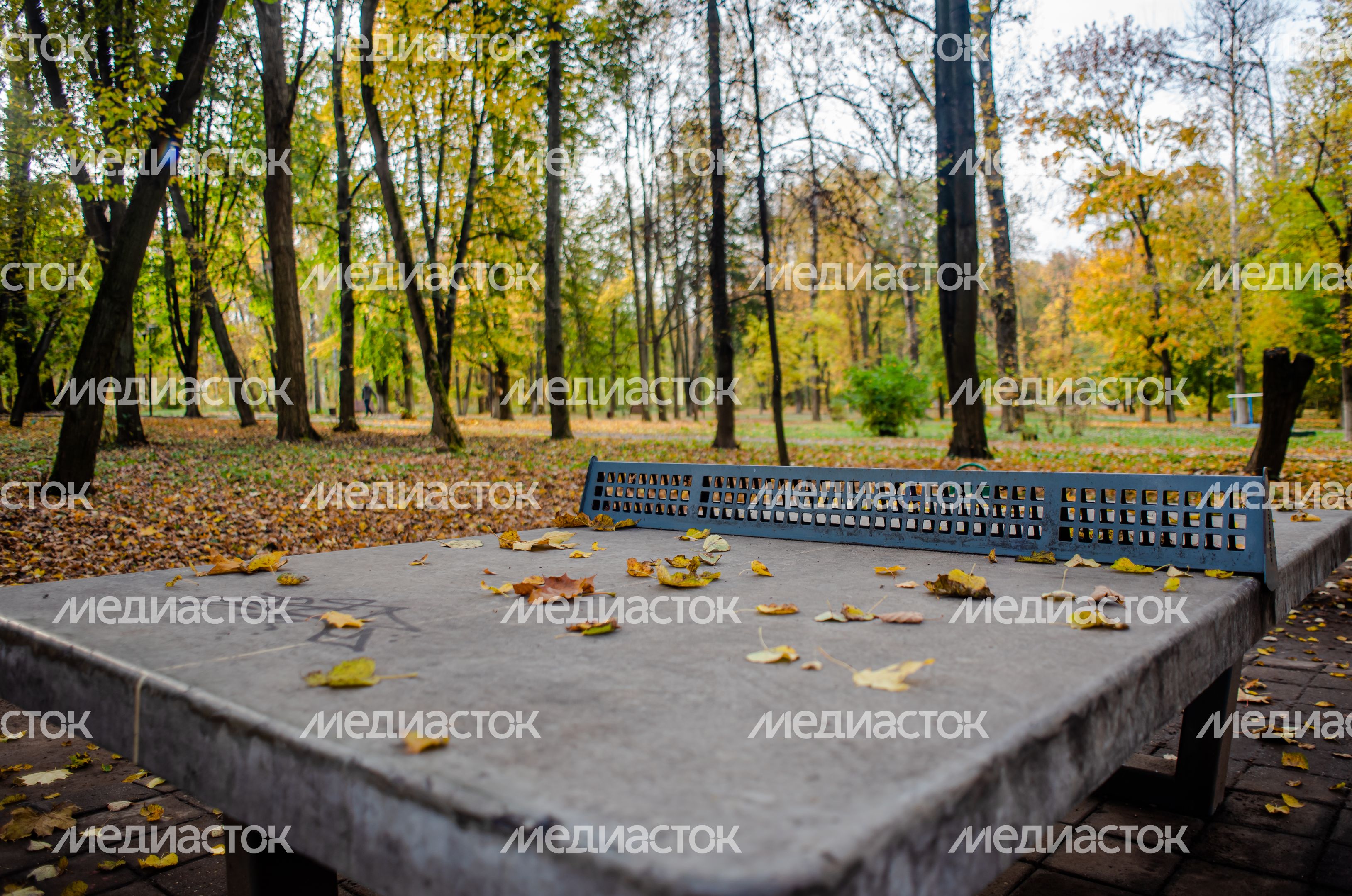 Осенние виды Городского парка в Щёлково