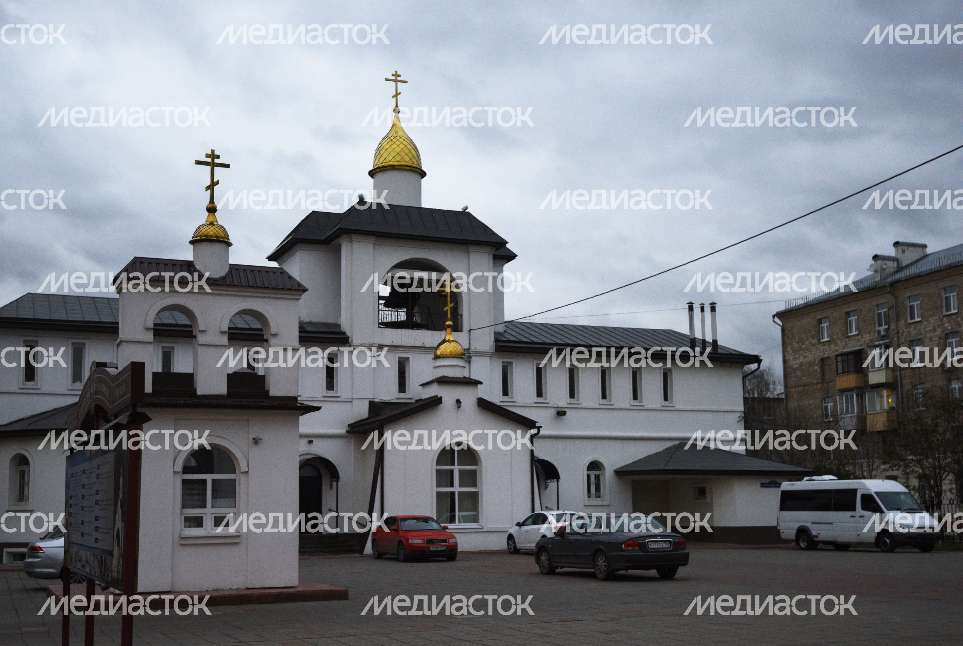Храм Александра Невского в Балашихе