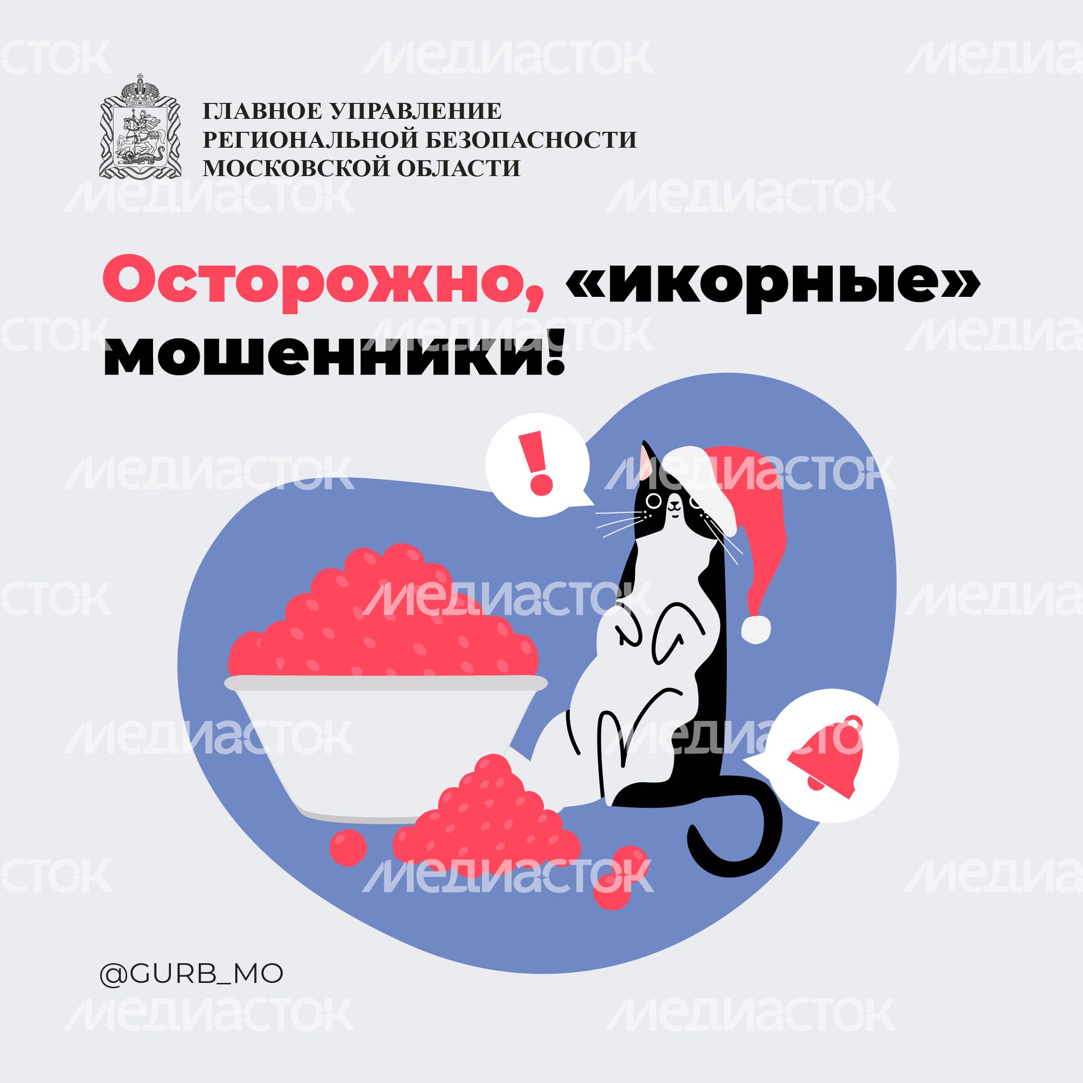 Икорные мошенники_2023_Квадрат-01