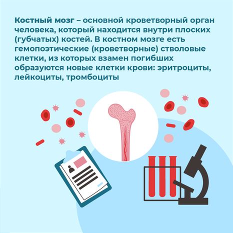 квадраты-как-стать-донором-костного-мозга-03.png