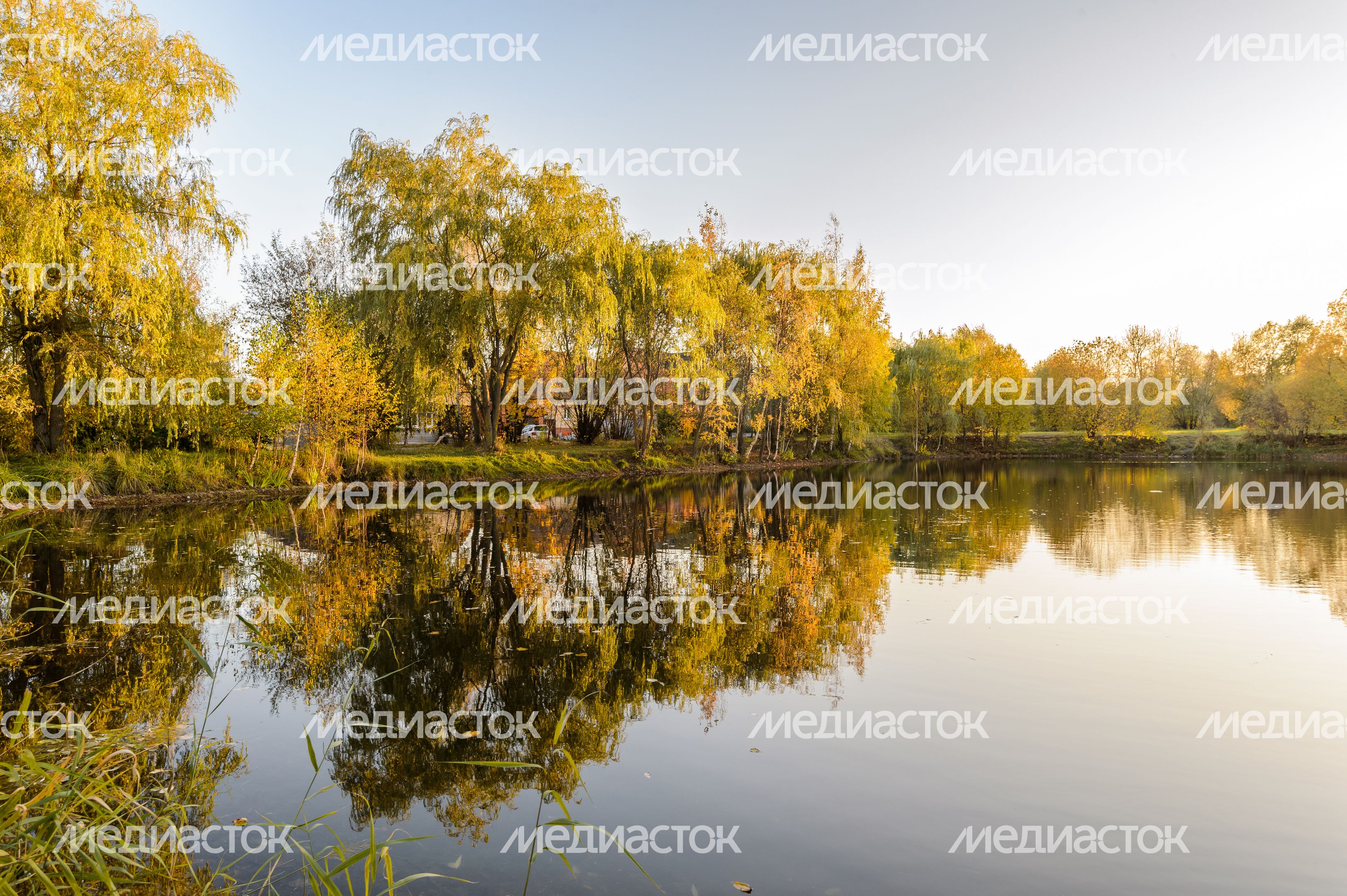 Егорьевск. Егорьевский технологический институт Егорьевск. Егорьевский технологический институт