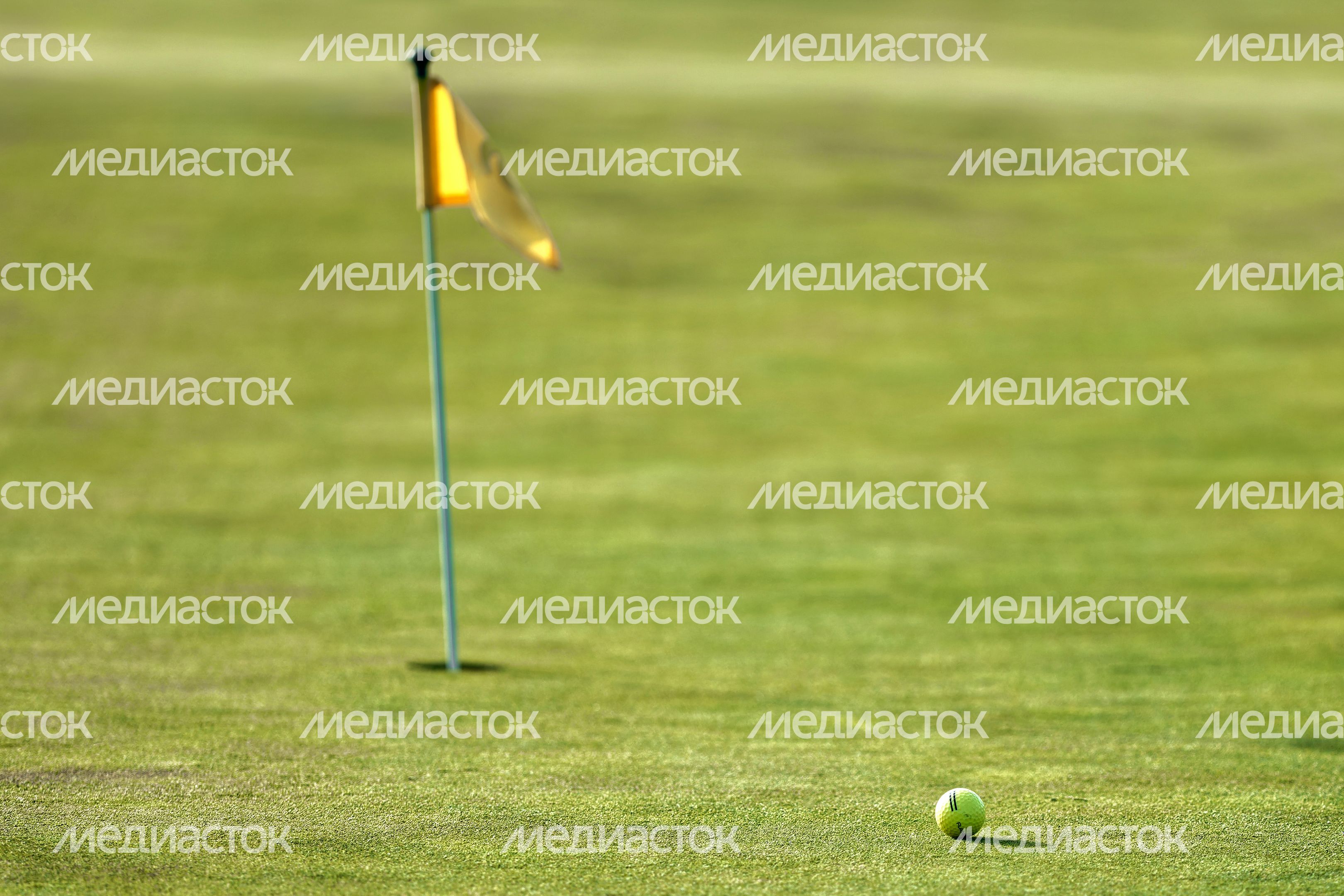 Гольф-поле клуба Dmitrov Golf Resort в Дмитровском округе