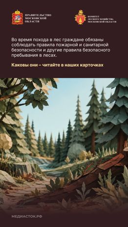 Пребывание граждан в лесах Вертикаль 02