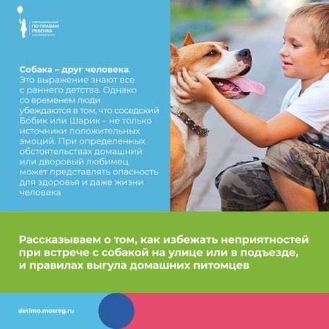 уппр_осторожно_собака_квадрат_2.jpg