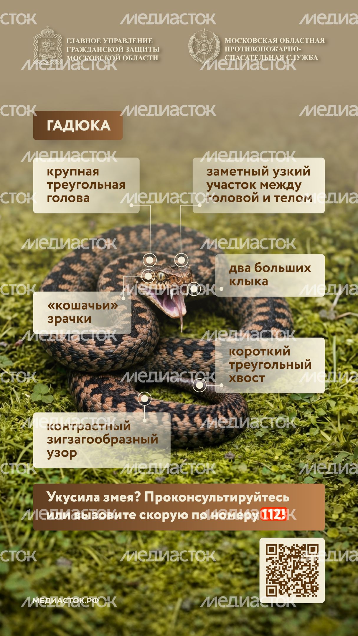 Гадюки вертикаль 03 Гадюки вертикаль 03