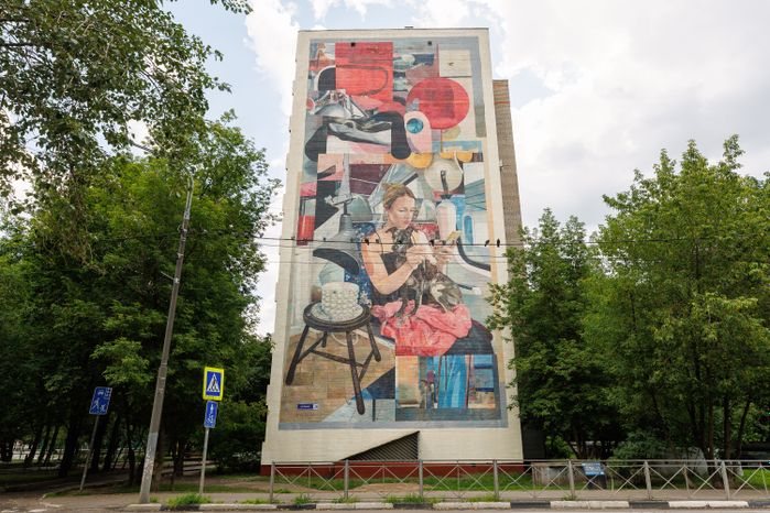 Муралы в Железнодорожном, Балашиха